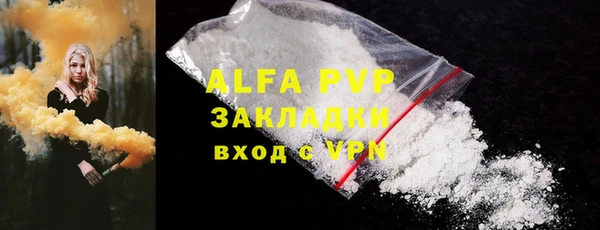 дмт Богданович