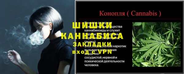 дмт Богданович