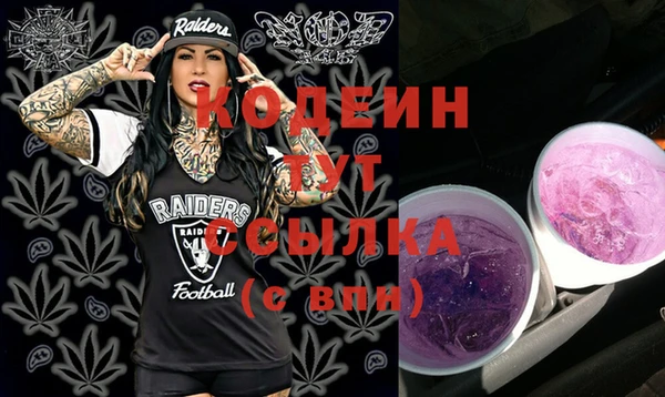 дмт Богданович