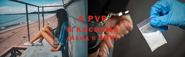 спайс Богородицк
