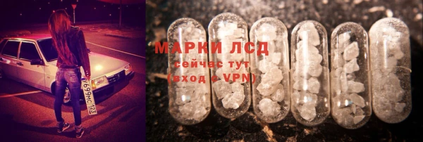 дмт Богданович